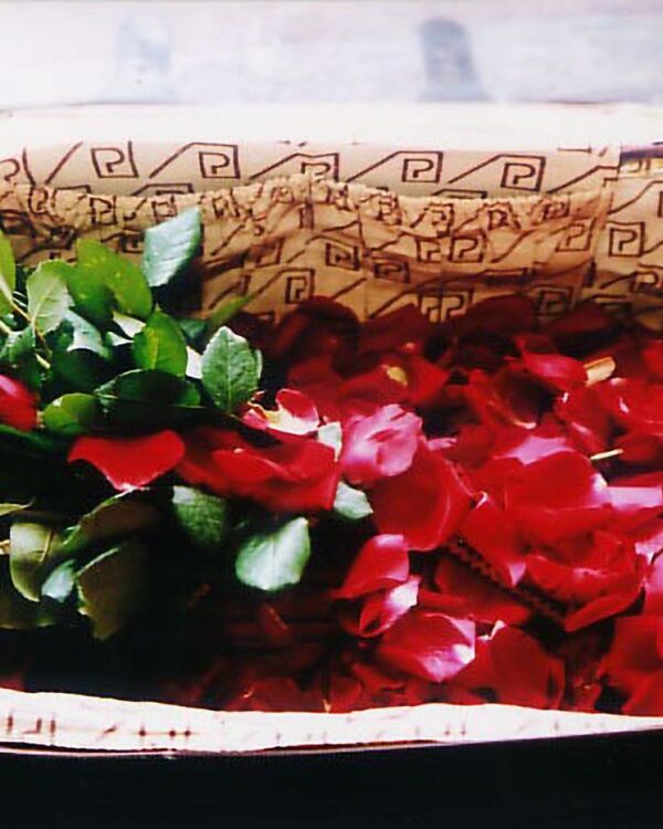 DUPLO FACA DESTINO - FOTO - 0003010001
Fotógrafo: Lívia de Melo