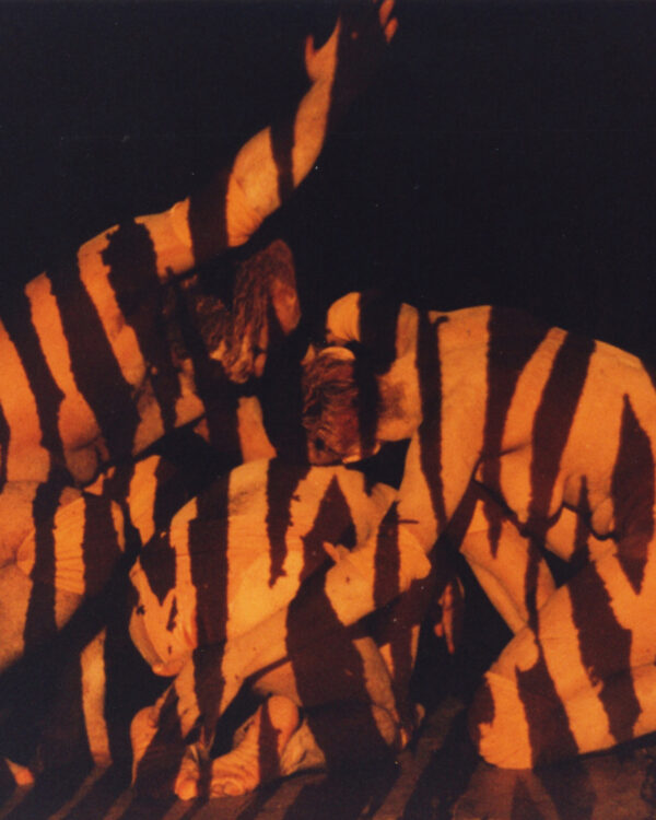 Ita in Process [foto 04]