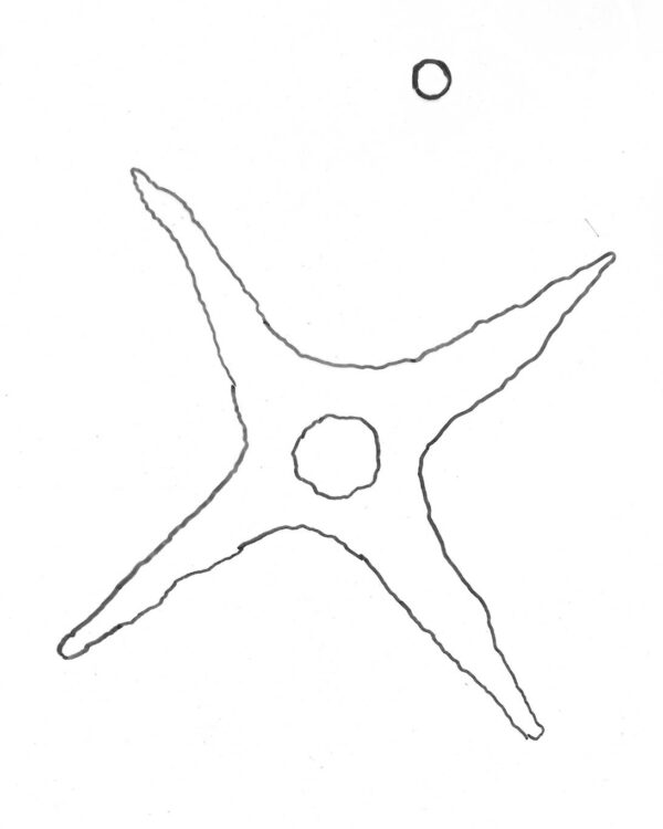 Latus [ilustração 01]